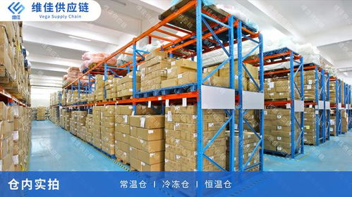 十三載淬煉，靜待破繭 電商倉儲能否再造新模式？